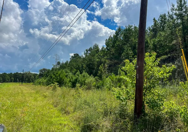 Photo 3 of Land for sale at 0 Fm 1013, Kirbyville, TX 75956 | MLS# 36977923 | Listing updated on 2026-08-03