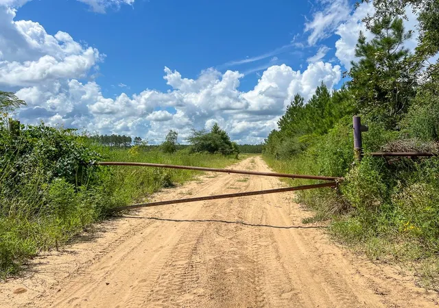 Photo 4 of Land for sale at 0 Fm 1013, Kirbyville, TX 75956 | MLS# 36977923 | Listing updated on 2026-08-03