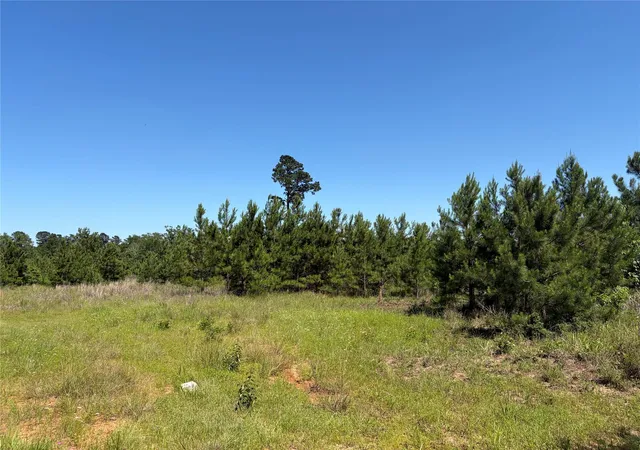 Homes for sale in Lovelady, TX | 0 Robertson Rd, Lovelady, TX 75851 | MLS# 23355655