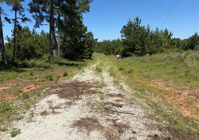 Homes for sale in Lovelady, TX | 0 Robertson Rd, Lovelady, TX 75851 | MLS# 23355655
