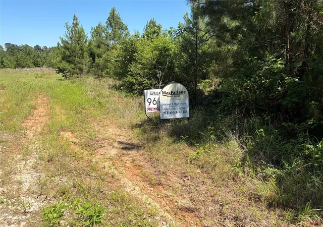 Homes for sale in Lovelady, TX | 0 Robertson Rd, Lovelady, TX 75851 | MLS# 23355655