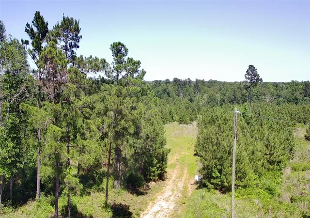 Homes for sale in Lovelady, TX | 0 Robertson Rd, Lovelady, TX 75851 | MLS# 23355655