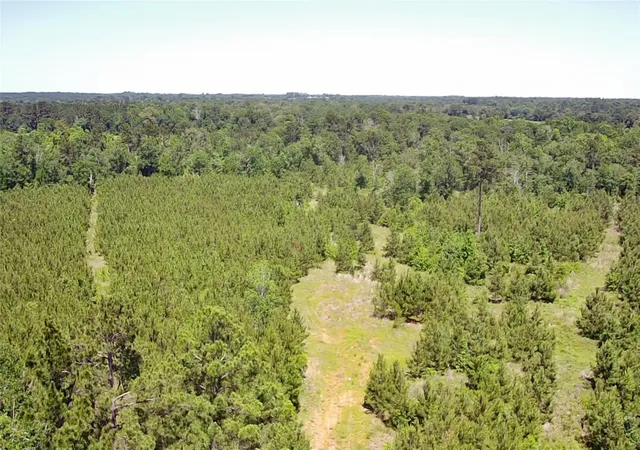 Homes for sale in Lovelady, TX | 0 Robertson Rd, Lovelady, TX 75851 | MLS# 23355655
