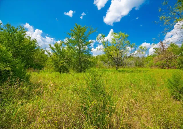 11th image of 00 Lcr 258, Mexia, TX 76667 | MLS# 79889303