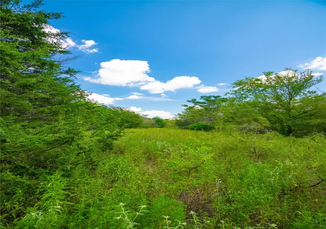 3rd image of 00 Lcr 258, Mexia, TX 76667 | MLS# 79889303