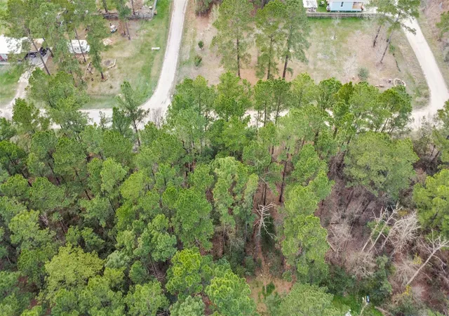 Photo 4 of Land for sale at Lot 720 Sand Dollar Dr, Livingston, TX 77351 | MLS# 53083846 | Listing updated on 2026-08-23