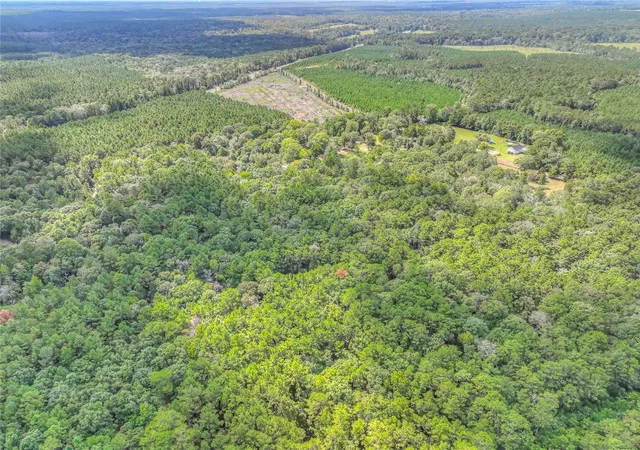 Homes for sale in Woodville, TX | 446 County Road 3550, Woodville, TX 75979 | MLS# 50065001