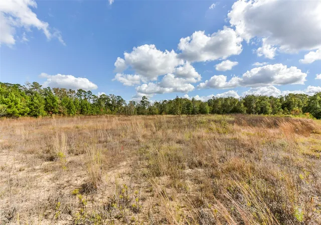 Photo 6 of Land for sale at 71 Road 5260, Cleveland, TX 77327 | MLS# 51751875 | Listing updated on 2026-06-10