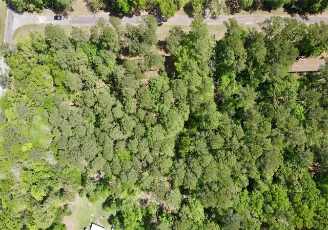 12th image of 00 Belladonna Dr, Onalaska, TX 77360 | MLS# 13849405