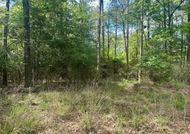 2nd image of 00 Belladonna Dr, Onalaska, TX 77360 | MLS# 13849405