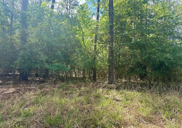 3rd image of 00 Belladonna Dr, Onalaska, TX 77360 | MLS# 13849405