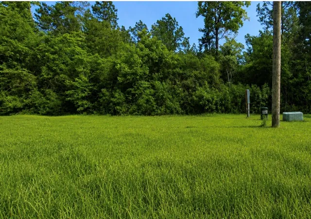 Photo 1 of Land for sale at 35 Coyote Run, Willis, TX 77378 | MLS# 71602327 | Listing updated on 2026-07-18
