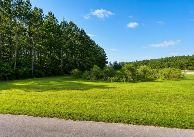 Photo 3 of Land for sale at 0 Fm 357, Corrigan, TX 75939 | MLS# 43353283 | Listing updated on 2026-07-18