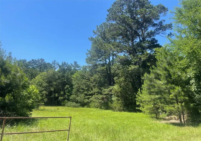 Photo 4 of Land for sale at 858 Fm 1272, Grapeland, TX 75844 | MLS# 43992515 | Listing updated on 2026-08-05