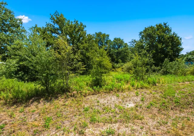 3rd image of 101 Acres County Road 436, Snook, TX 77878 | MLS# 68964444