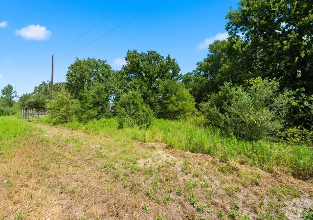 4th image of 101 Acres County Road 436, Snook, TX 77878 | MLS# 68964444