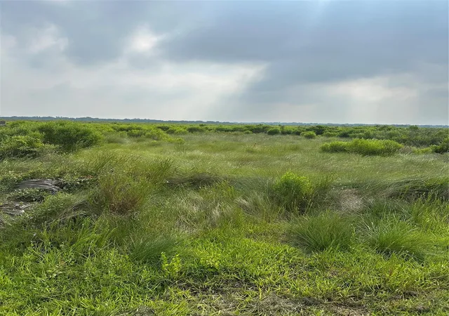 Photo 2 of Land for sale at 299 County Rd Heron Dr, Bay City, TX 77414 | MLS# 36831802 | Listing updated on 2026-06-24