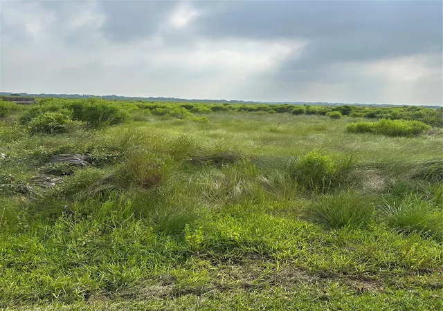 Photo 3 of Land for sale at 299 County Rd Heron Dr, Bay City, TX 77414 | MLS# 36831802 | Listing updated on 2026-06-24