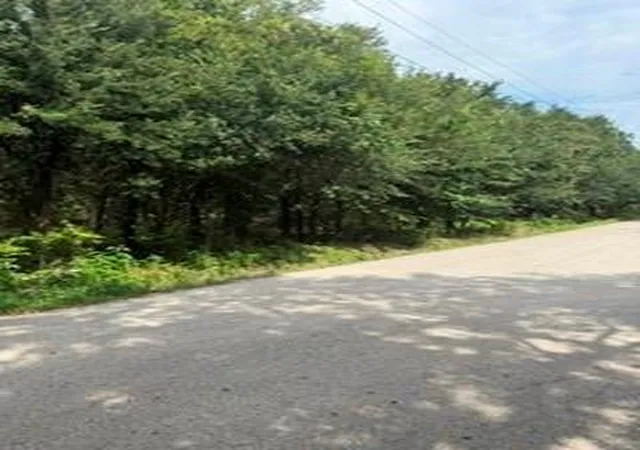 Photo 3 of Land for sale at 0000 Hwy 6 And Holloway, Santa Fe, TX 77510 | MLS# 7558003 | Listing updated on 2026-08-02