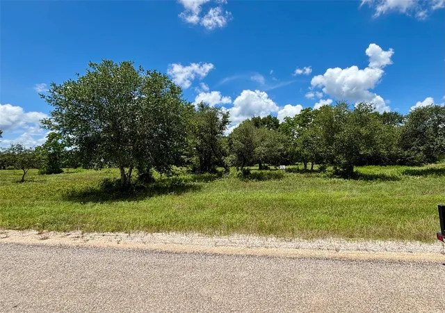 Homes for sale in Columbus, TX | Tbd Teal, Columbus, TX 78934 | MLS# 36443813