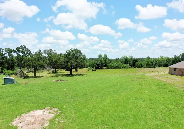 Photo 2 of Land for sale at 12 Manning Ln, Madisonville, TX 77864 | MLS# 73323095 | Listing updated on 2026-08-05
