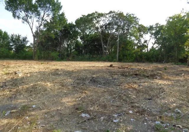 Photo 2 of Land for sale at 3630 Nita St, Houston, TX 77051 | MLS# 11445260 | Listing updated on 2026-06-25