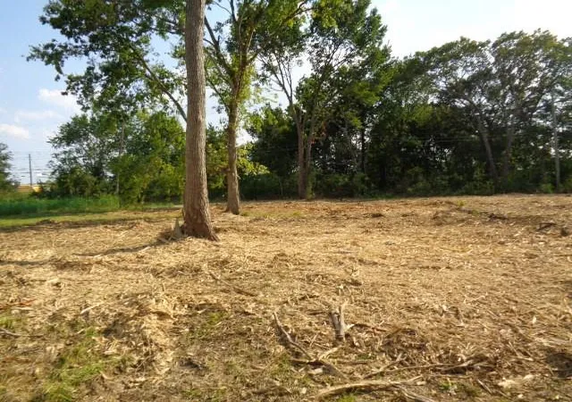 Photo 3 of Land for sale at 3630 Nita St, Houston, TX 77051 | MLS# 11445260 | Listing updated on 2026-06-25