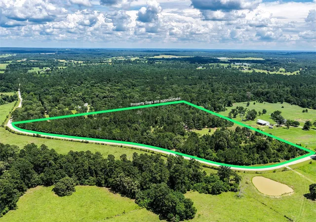 3rd image of 691 Bishop Rd, Huntsville, TX 77320 | MLS# 22692544