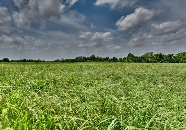 Photo 2 of Sale Pending at Tbd River Hvn Dr, Navasota, TX 77868 | MLS# 21623696 | Listing updated on 2026-09-09