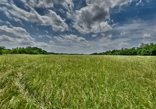 Photo 3 of Sale Pending at Tbd River Hvn Dr, Navasota, TX 77868 | MLS# 21623696 | Listing updated on 2026-09-09