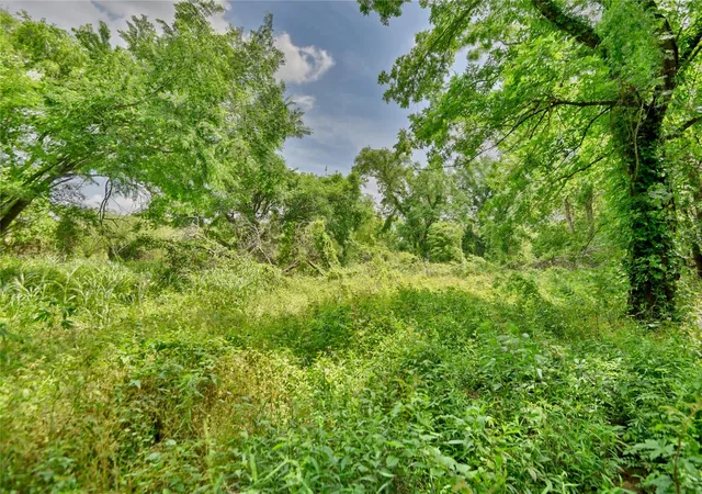 Photo 4 of Sale Pending at Tbd River Hvn Dr, Navasota, TX 77868 | MLS# 21623696 | Listing updated on 2026-09-09
