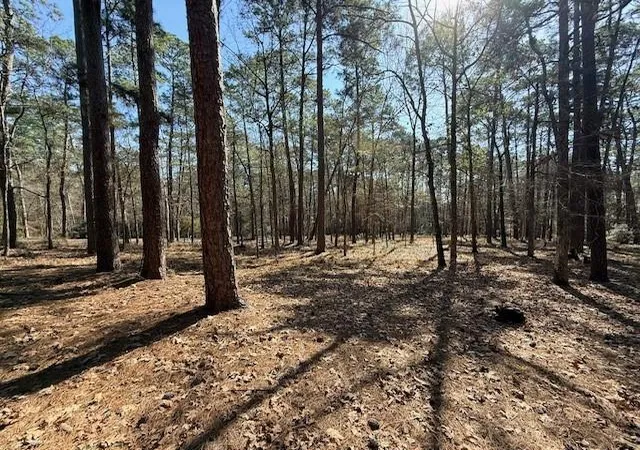 Photo 2 of Land for sale at 7 Altwood Dr, Coldspring, TX 77331 | MLS# 10159738 | Listing updated on 2026-07-16