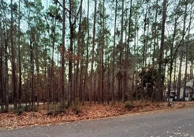 Photo 3 of Land for sale at 7 Altwood Dr, Coldspring, TX 77331 | MLS# 10159738 | Listing updated on 2026-07-16