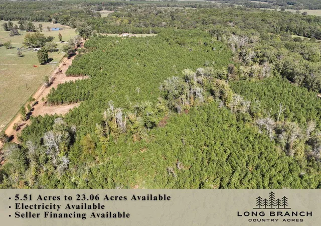 Homes for sale in Long Branch, TX | 6 & 7 County Road 3121, Long Branch, TX 75669 | MLS# 94609796