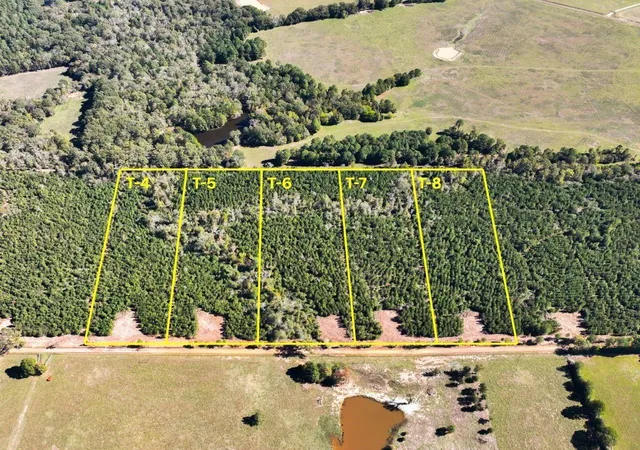 Homes for sale in Long Branch, TX | 6 & 7 County Road 3121, Long Branch, TX 75669 | MLS# 94609796