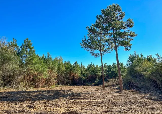 Homes for sale in Long Branch, TX | 6 & 7 County Road 3121, Long Branch, TX 75669 | MLS# 94609796