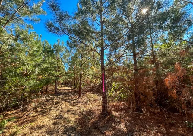 Homes for sale in Long Branch, TX | 6 & 7 County Road 3121, Long Branch, TX 75669 | MLS# 94609796