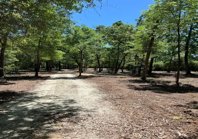 4th image of 13894 State Hwy 21 W, Crockett, TX 75835 | MLS# 10464482