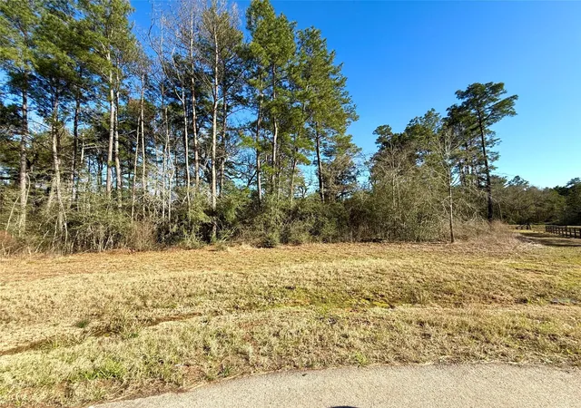 Photo 1 of Land for sale at 26601 Buchanan Ct, Magnolia, TX 77355 | MLS# 45430706 | Listing updated on 2026-08-11