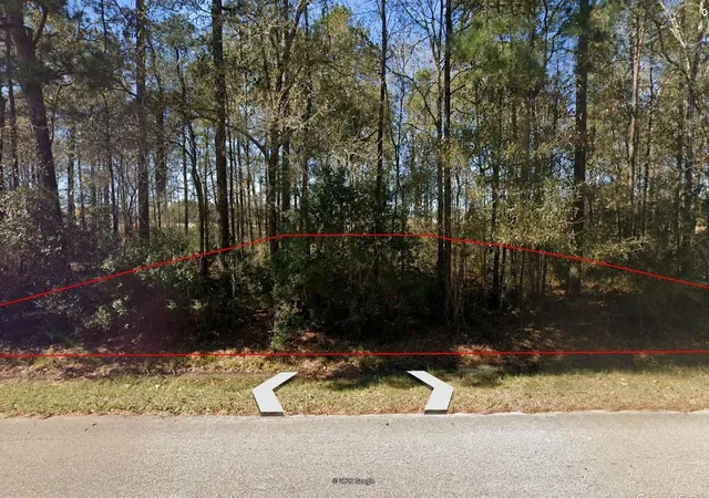 3rd image of 000 Dogwood Ln, Porter, TX 77365 | MLS# 76849458