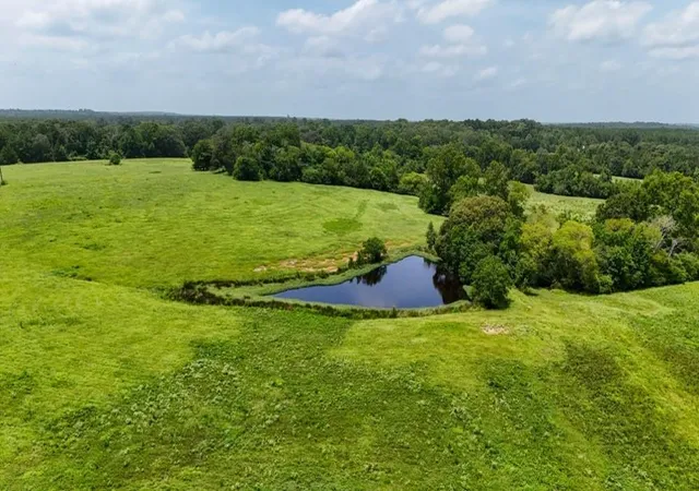 1st image of 000 Cr 2780, Colmesneil, TX 75938 | MLS# 81982726
