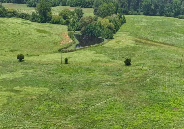 46th image of 000 Cr 2780, Colmesneil, TX 75938 | MLS# 81982726