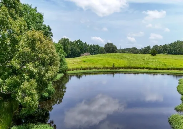 5th image of 000 Cr 2780, Colmesneil, TX 75938 | MLS# 81982726