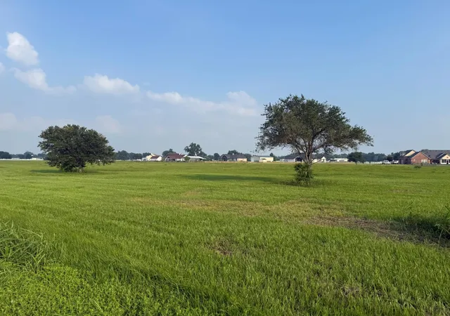 Homes for sale in Rosharon, TX | 3211 Pearce Dr, Rosharon, TX 77583 | MLS# 42807220