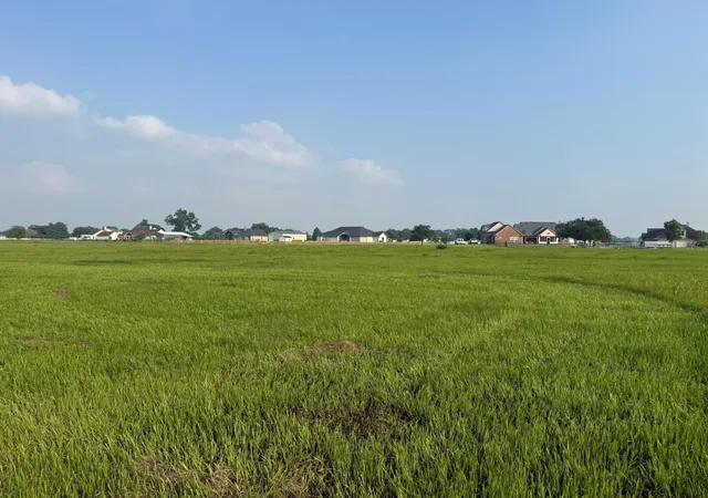 Homes for sale in Rosharon, TX | 3211 Pearce Dr, Rosharon, TX 77583 | MLS# 42807220