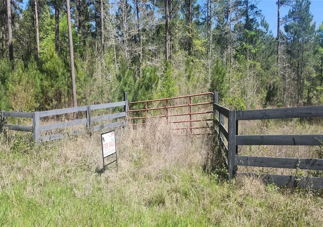 Photo 3 of Land for sale at 668 Wheeler Rd, Corrigan, TX 75939 | MLS# 69844701 | Listing updated on 2026-04-17