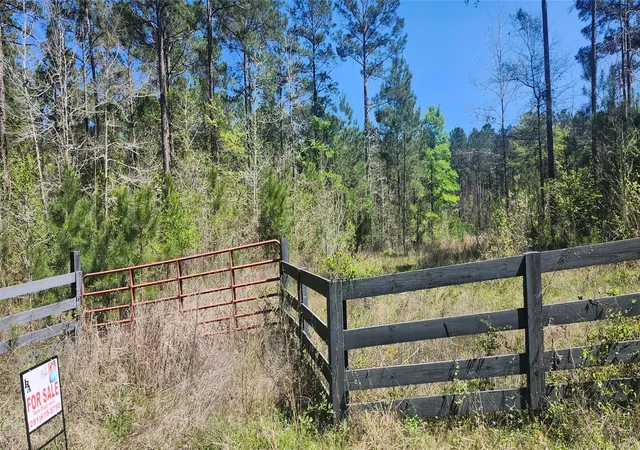 Photo 3 of Land for sale at 668 Wheeler Rd, Corrigan, TX 75939 | MLS# 69844701 | Listing updated on 2026-04-17