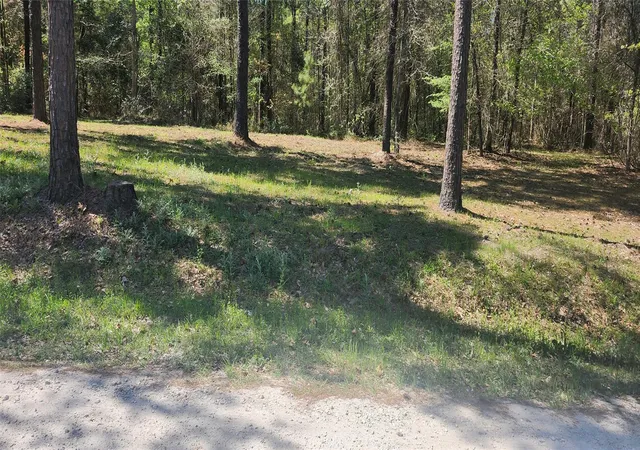 Photo 4 of Land for sale at 668 Wheeler Rd, Corrigan, TX 75939 | MLS# 69844701 | Listing updated on 2026-04-17