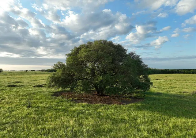 Photo 3 of Land for sale at 2088 Sempronius Rd, Chappell Hill, TX 77426 | MLS# 68460278 | Listing updated on 2026-08-13