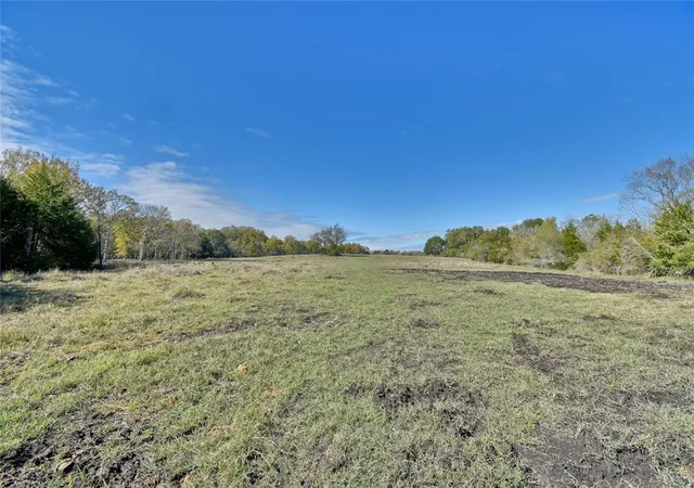 Photo 4 of Land for sale at 2088 Sempronius Rd, Chappell Hill, TX 77426 | MLS# 68460278 | Listing updated on 2026-08-13